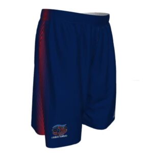 Coláiste Daibhéid Basketball Shorts
