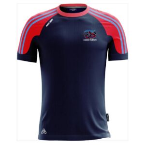 Coláiste Daibhéid T-Shirt