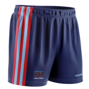 Coláiste Daibhéid GAA Shorts